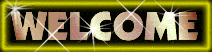 Welcome to Sea Scouting!
