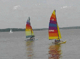 Hobie 16s