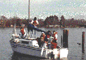 American 25