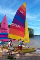 Hobie 16s